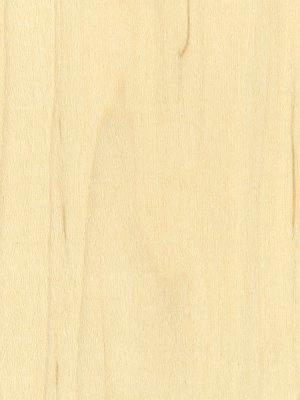 Maple veneer